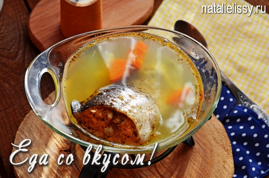 уха из лосося