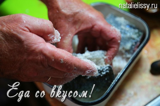 засолка рыбы в домашних условиях